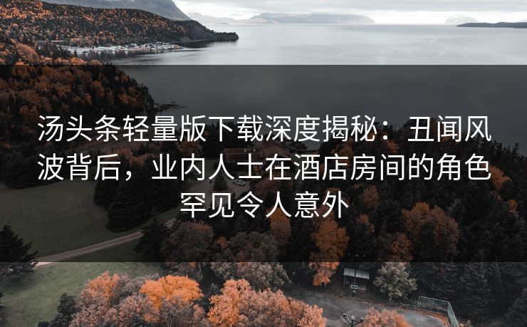 汤头条轻量版下载深度揭秘:丑闻风波背后,业内人士在酒店房间的角色罕见令人意外 汤头条轻量版下载深度揭秘:丑闻风波背后,业内人士在酒店房间的角色罕见令人意外