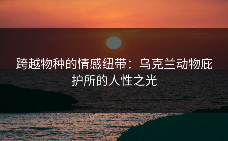 跨越物种的情感纽带：乌克兰动物庇护所的人性之光